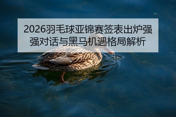 2026羽毛球亚锦赛签表出炉强强对话与黑马机遇格局解析