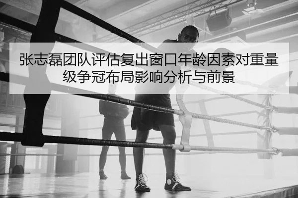 张志磊团队评估复出窗口年龄因素对重量级争冠布局影响分析与前景 - HTH